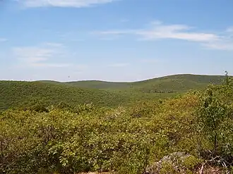 Mount Frissell vom Bear Mountain