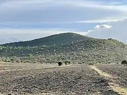Landschaft in Moita