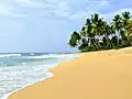 Strand von Hikkaduwa