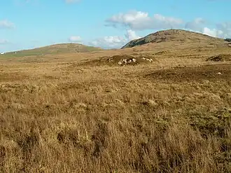 Der Beinn Tart a’Mhill aus südlicher Richtung