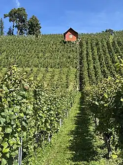 Das Himmelsleiterli am Schiterberg