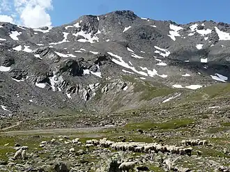 Die Hintere Schöntaufspitze vom hinteren Madritschtal, das Madritschjoch ist links zu sehen.