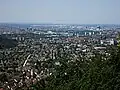 Aussicht auf Muttenz