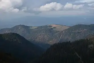 Der Hinterwaldkopf über dem oberen Zastlertal
