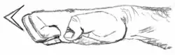Hiraken