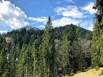 Hirschberg (links) und Ölrain (rechts) von Westen