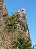 Hirschbergs Wahrzeichen auf einer Klippe unterhalb des Schlossberges