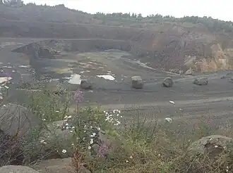 Der Steinbruch auf dem Hirschentanz, im Kernbereich kann man den säulenförmig erstarrten Basalt des ehemaligen Lavasees erkennen, die rötlichen Bereiche sind Schlacken und der verwitterte Granit erscheint am rechten Bildrand als gelbe Schicht. Die Steinblöcke im Vordergrund sind erstarrte Lavabomben, die sich im weiten Umkreis um den Vulkan häufig auffinden lassen.