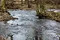 Zufluss des Enspeler Bach (Hornister, unten)