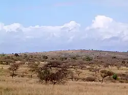 Hluhluwe-Umfolozi-Park