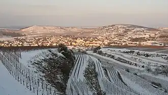 Der Hochberg (rechts), oberhalb Jechtingens