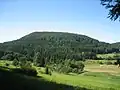 Hochberg