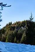 Hochglocker