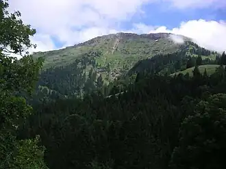 Nordflanke des Hochgrat