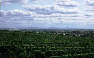 Blick von Hochheim am Main nach Südosten über die Oberrheinische Tiefebene bis zum Odenwald. Die markanteste Erhebung der Odenwald-Silhouette ist im rechten Bilddrittel der Melibokus an der Bergstraße in 38&nbsp;km Entfernung. Rechts vom Melibokus setzt sich die Bergstraße nach Süden weiter fort.