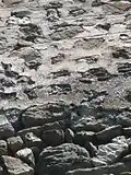 Detail der Mauer