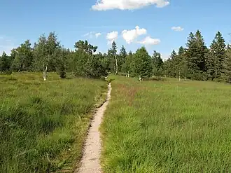 Grindenlandschaft auf dem Hochkopf und Pfrimmackerkopf. Gesehen von Süden.