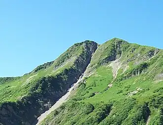 Die Hochstarzel von der Starzelalpe