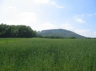 Blick von Houverath südwärts zum Hochthürmerberg