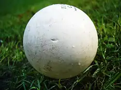 Hockeyball (Feldhockeyball)