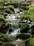 Wassertreppen im Hörschbachtal