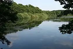 Der Hofmannsweiher
