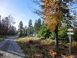 Hohe Heide – Gipfelplateau