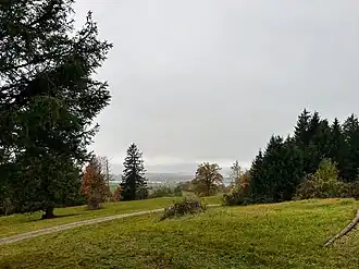 Hohe Lüß
