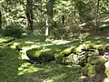 Zugangsweg