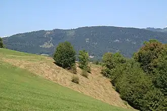 Ansicht von Südosten (Linecksattel)