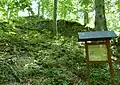 Blick vom Halsgraben hinauf zu Mauerresten der Burg