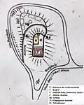Plan der Anlage (Infotafel vor Ort)