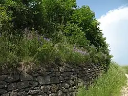 2016 Trockenmauer