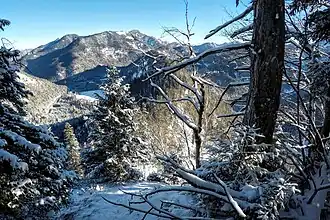 Hoher Gernberg, Gipfelbereich mit Blick nach Wildbad Kreuth (links) und Gernbergkopf (mittig)