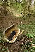 Illegale Müllablagerung im Naturdenkmal (2021)