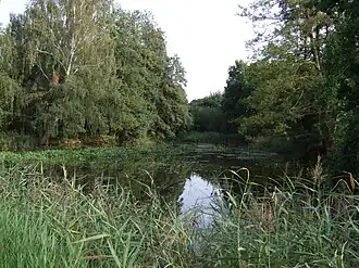 Hohlmühlweiher