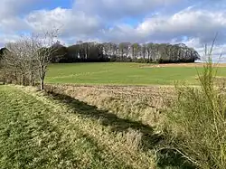 Hohlweg Richtung Birken - westl. Ümminghausen