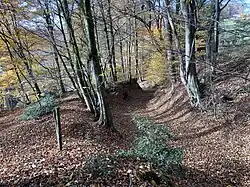 Bodendenkmal historischer Hohlweg Rausmühle