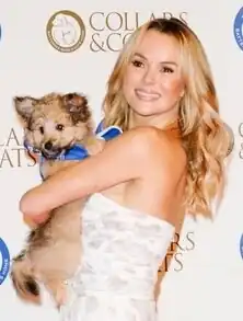 Amanda Holden in London (2014)