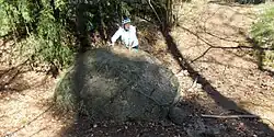 Opferstein im Hollener Wald