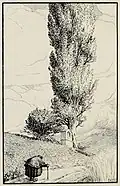 Die Pappel (Federzeichnung)