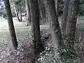 Am Fischteich Kuhtroff