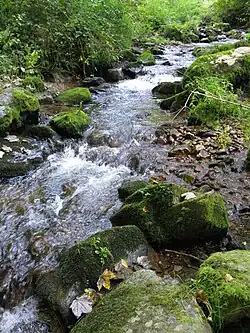 Holzschlagbach