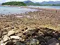 Sharp Island