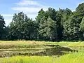 Bürger-Klimapark im Juli 2024