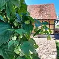 Altes Brauhaus, vom Brauverein wieder aufgebaut