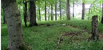 Höhenstein auf dem Hopfenberggipfel