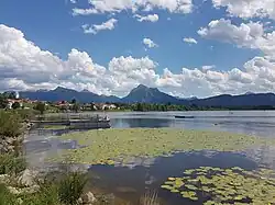Hopfensee (2017)