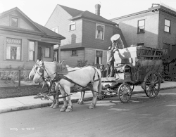 Müllabfuhr, Seattle, 1915