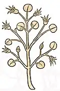 Hortus sanitatis 1491